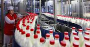 Работа в Германии,  молочная фабрика